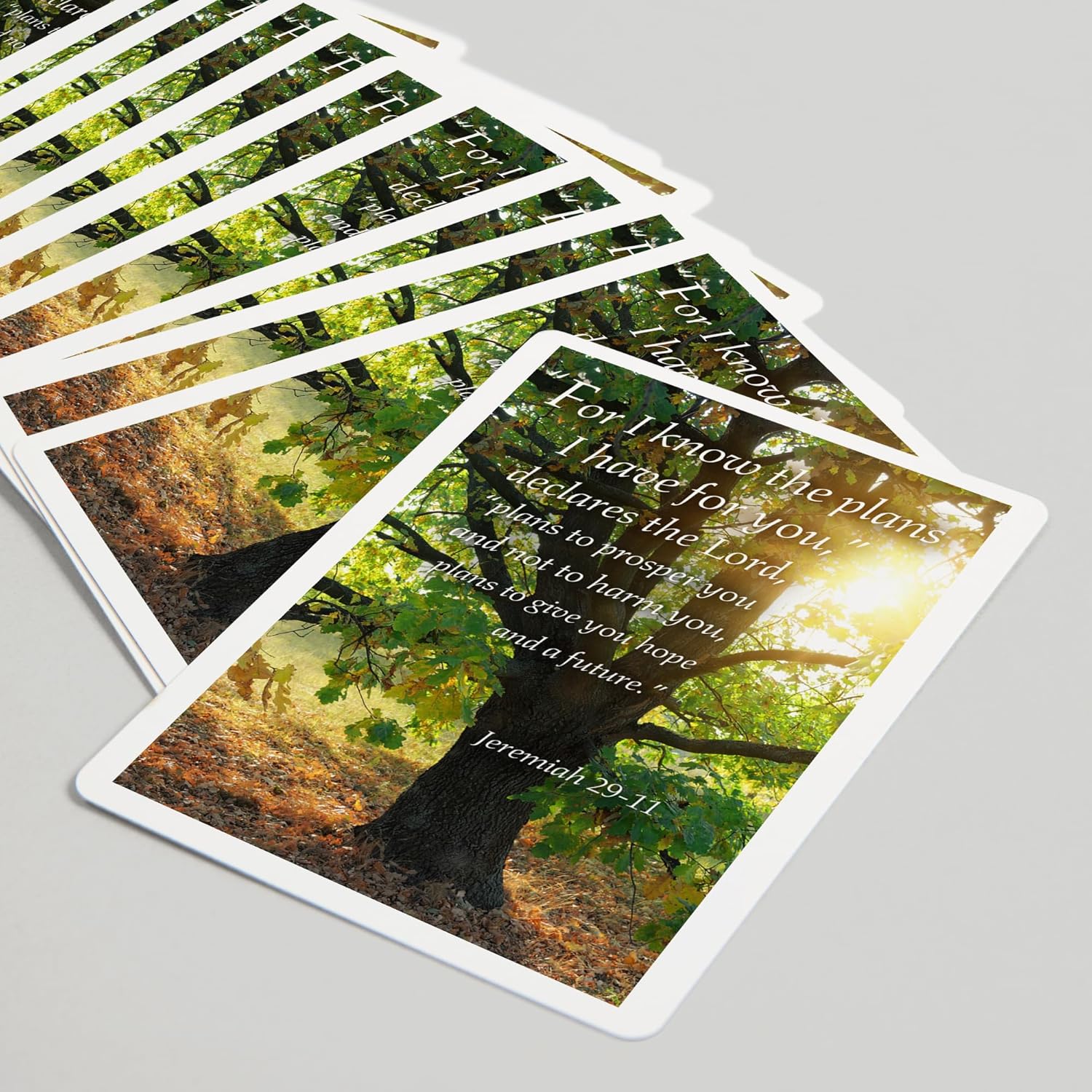 Lantern Press Jeremiah 29:11, Inspirational, 52 Playing Cards for Adults, Poker Size Card Deck