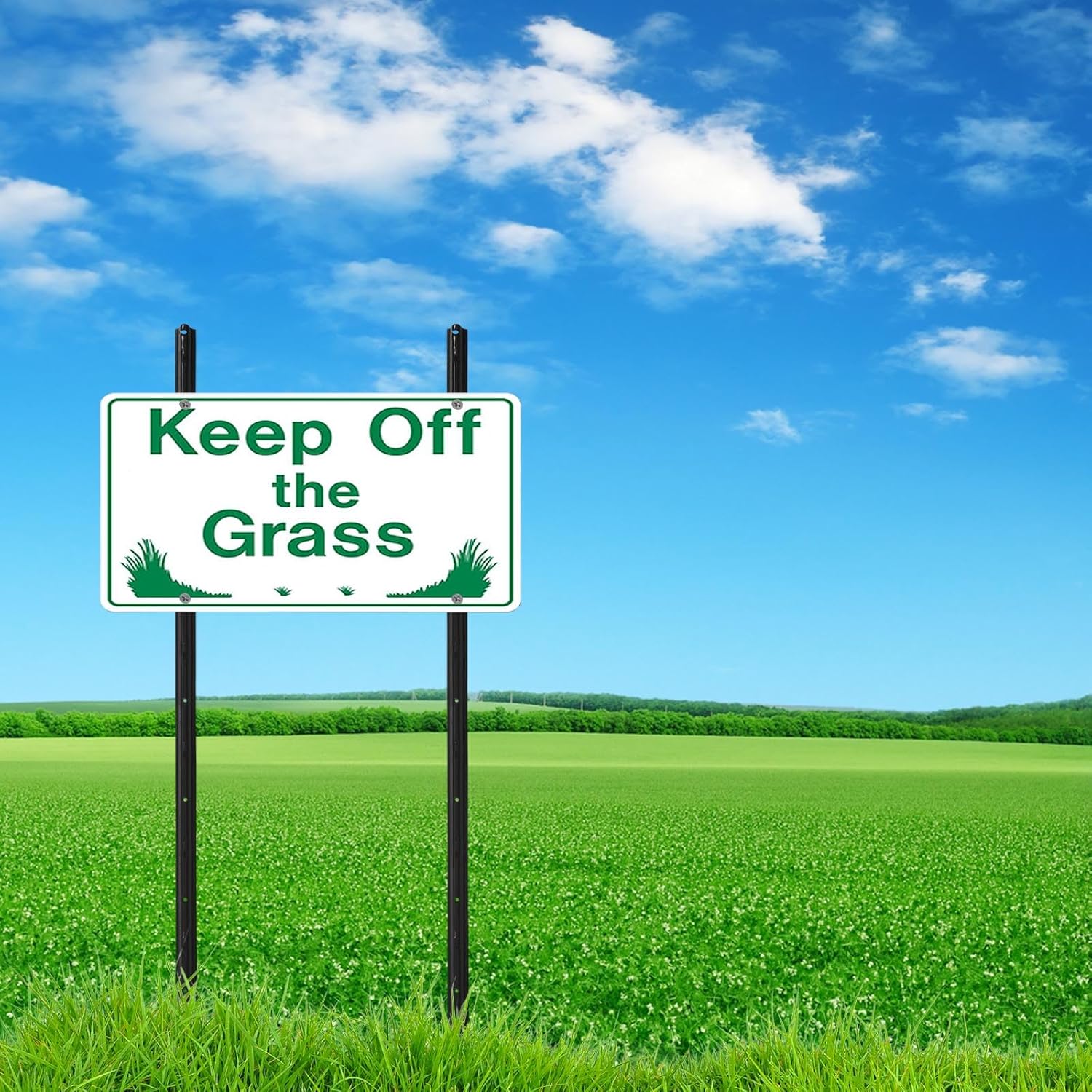 3 Feet Metal Fence Post Black, Pack of 5, for 24 Inch High Garden Welded Wire Fence U-Channel Steel Garden Post