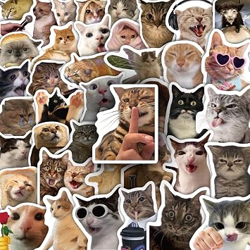 100 Pcs Cat Stickers, Funny Cat Meme, Cute Vinyl Kitty Sticker Pack