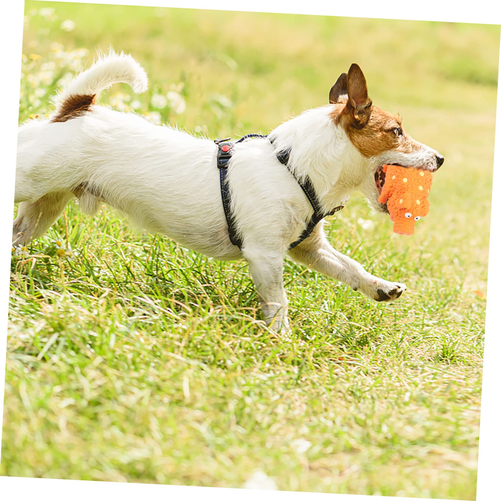 SUPVOX 4piezas Juguetes De Perro De Látex Squeaky Juguetes Interactivos para Masticar y Limpiar Dientes para Perros Pequeños y Medianos