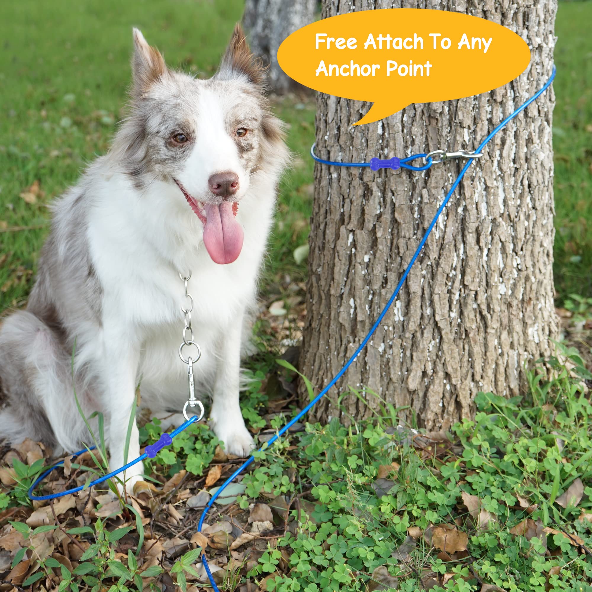 Cavo Per Cani Resistente Petphabt 3 Metri - Per Cani Grandi Fino A 56.7 Kg, Blu, Da Esterno - Foto 13