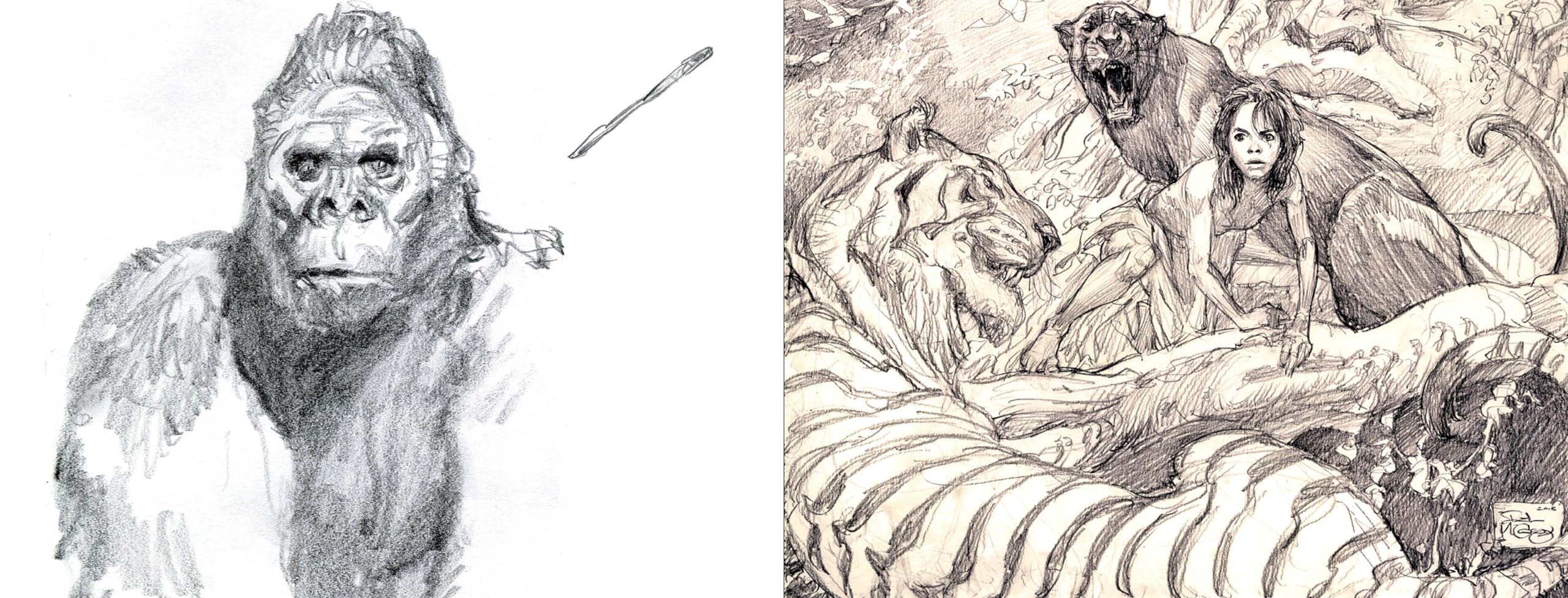 Iain McCaig's Once Upon a Time in the Sketchbook