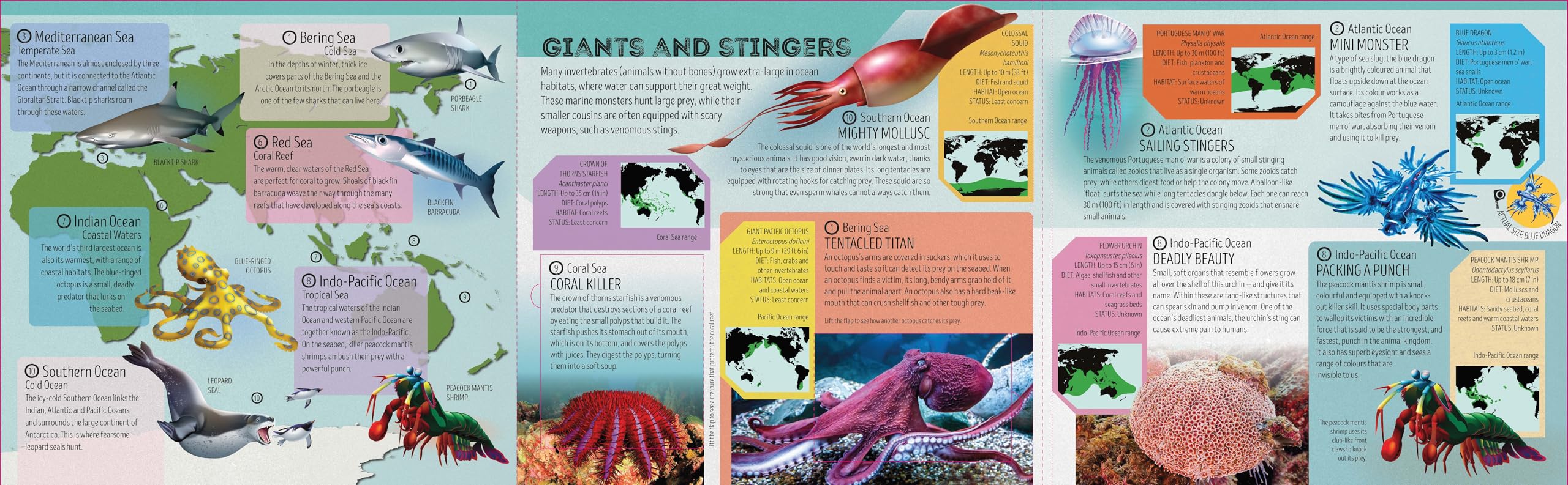 Deadly Animal Atlas -anglais-: Amazing Facts, Fold Out Maps & Lift the Flaps | Meet Snakes, Sharks, Tigers, Jellyfish & More | Packed with Beautiful Illustrations