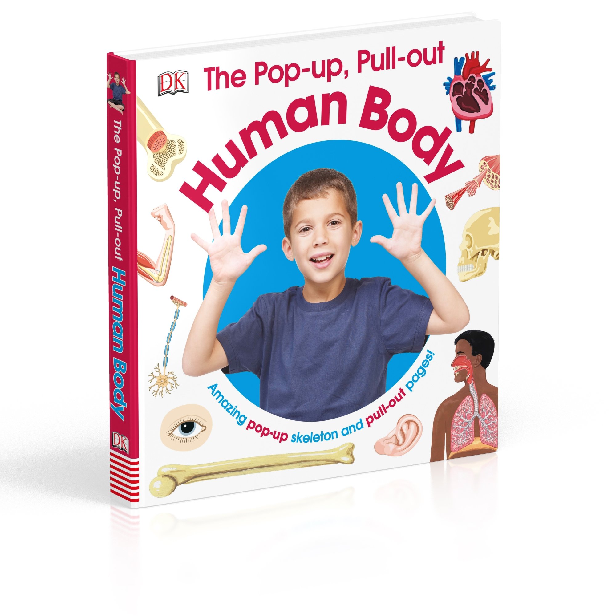 The Pop-up, Pull-out Human Body: Amazing Pop-up Skeleton and Pull-out Pages!