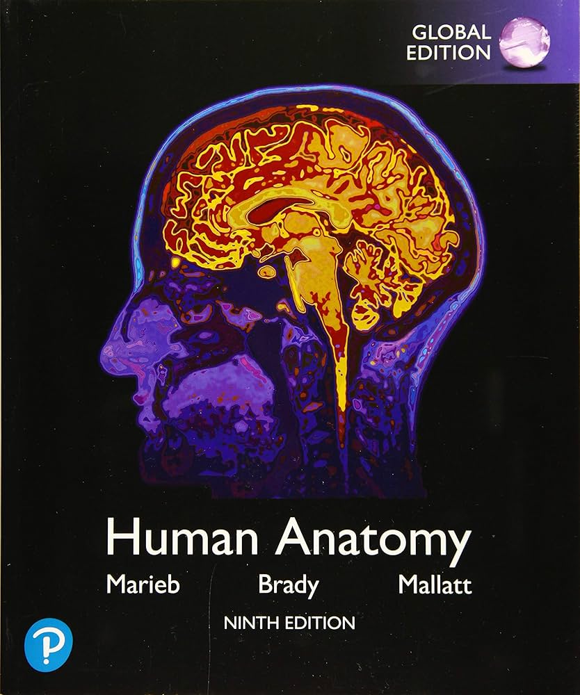 Human Anatomy, (Marieb, 2020) 9th Edition test bank cover - ISBN 9781292314471