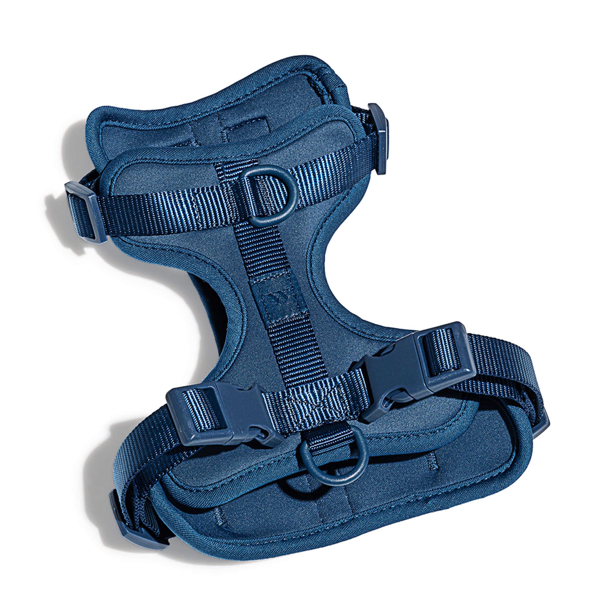 Wild One Harness 2.0 - Medium - Blue