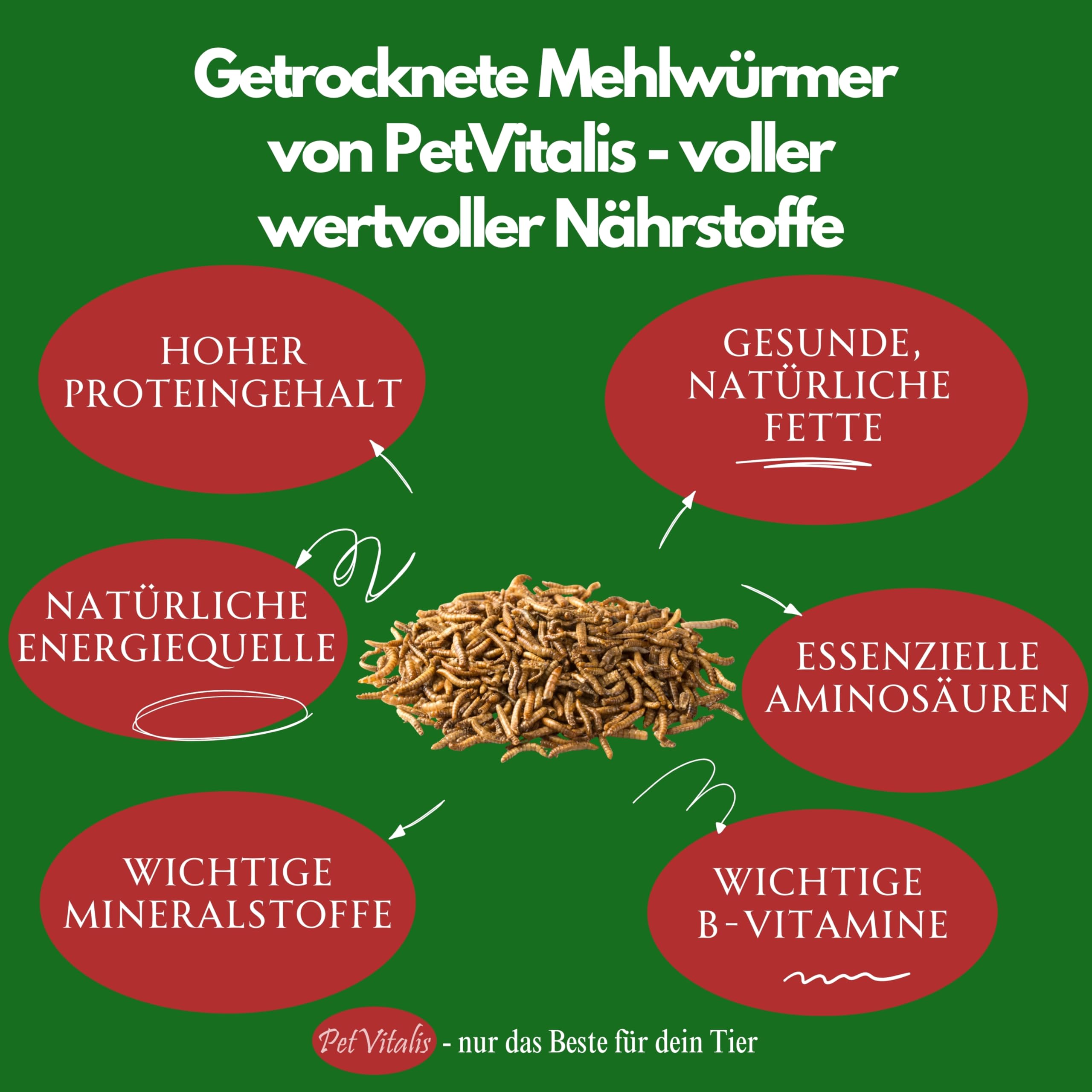 Mehlwürmer getrocknet 5 kg – Premium Einzelfuttermittel für Wildvögel, Ergänzung zum Vogelfutter – Proteinreicher Snack für Fische, Reptilien & Nager – Ganzjahresfutter für Igel & Eichhörnchen