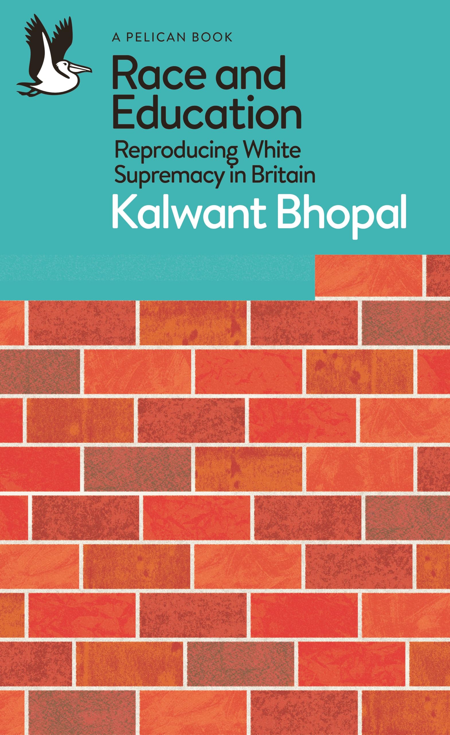 Race and Education: Reproducing White Supremacy in Britain (Pelican Books)