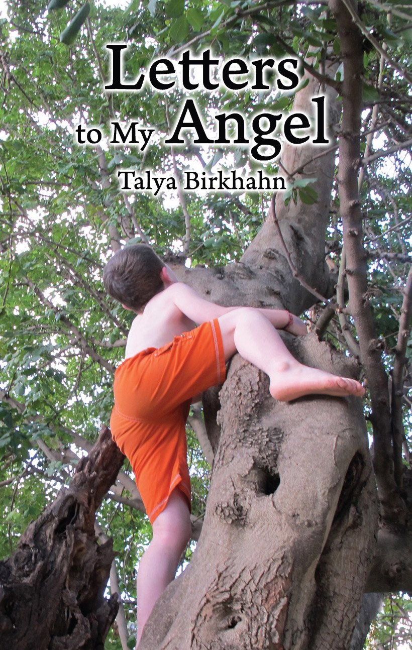 Coping With Sensory Modulation Disorder: Letters to My Angel: Sensory ...