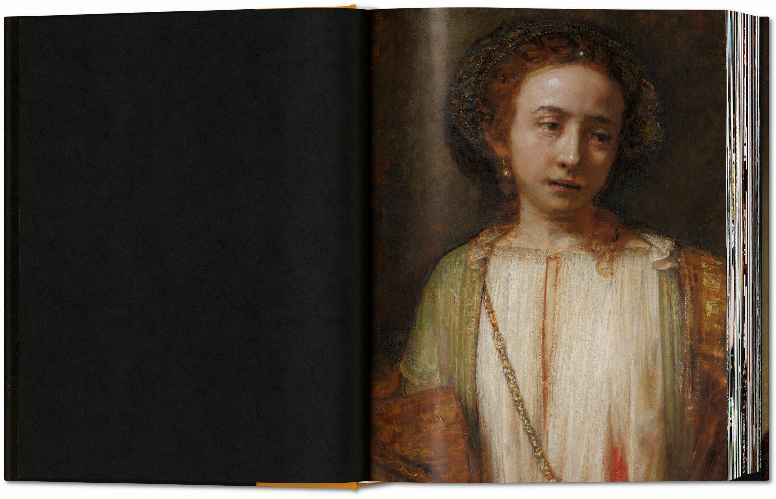 Rembrandt: The Complete Paintings (Fantastic Price)