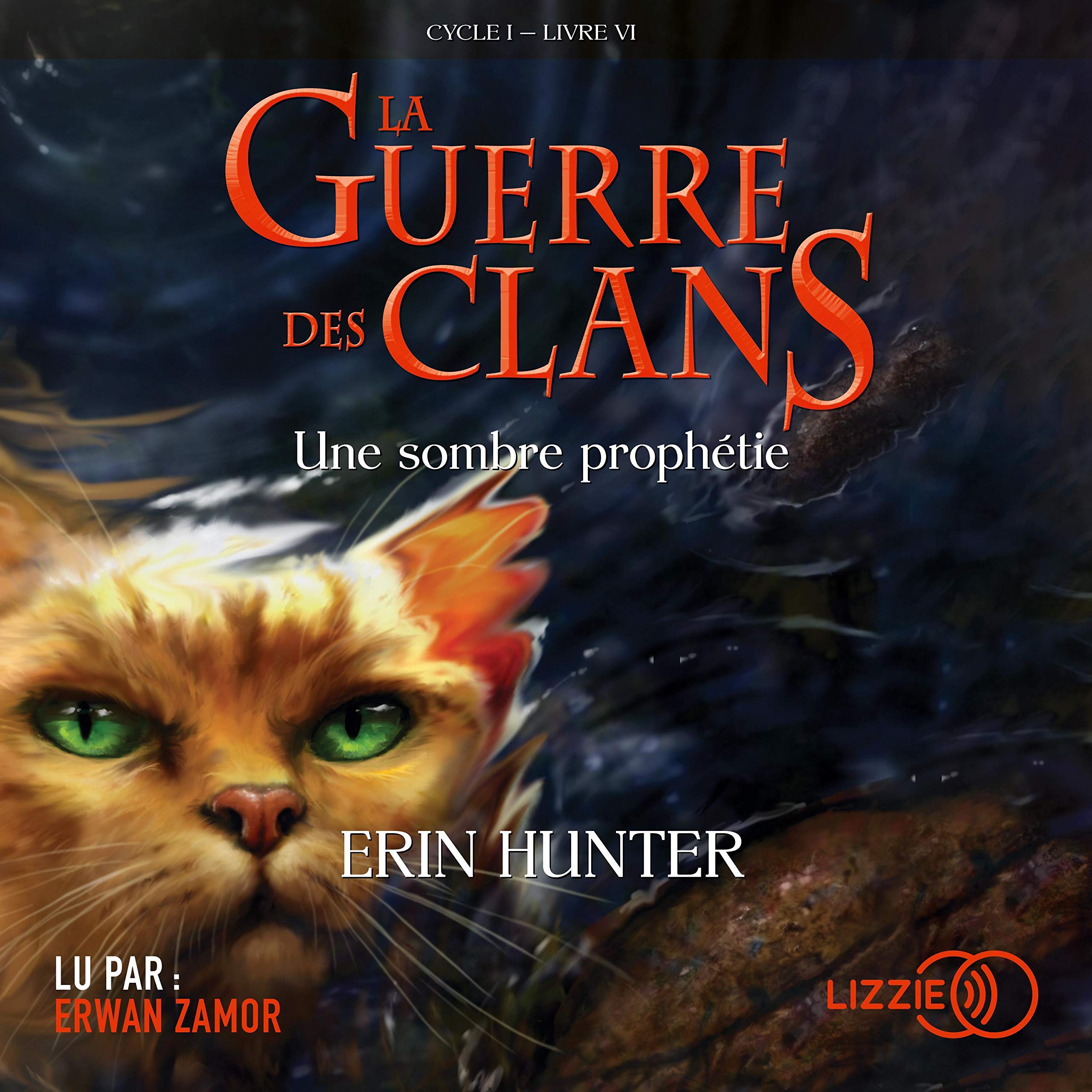 Cover art for Une sombre prophétie
