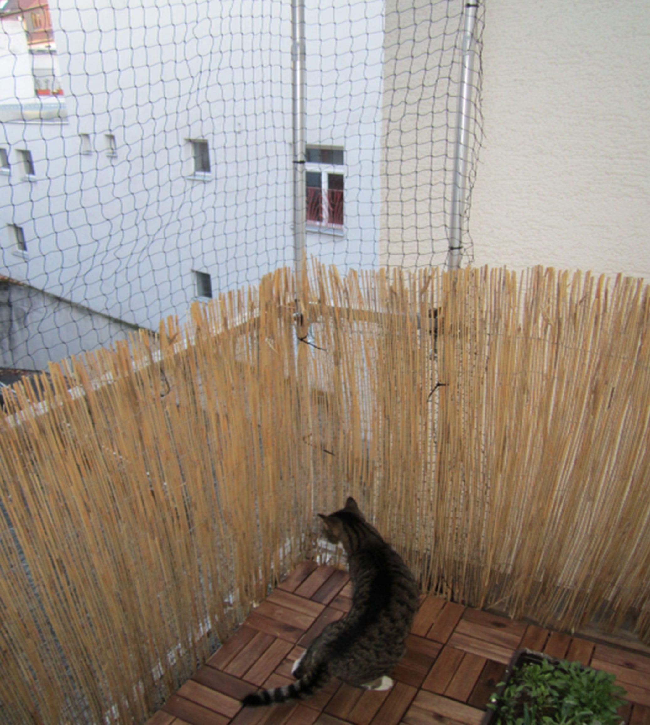 5 x Balkon KATZENNETZ - Halter - Edelstahl - 50 mm ø OHNE STÄBE - OHNE Netz - für STÖCKE bis Ø 38 mm -