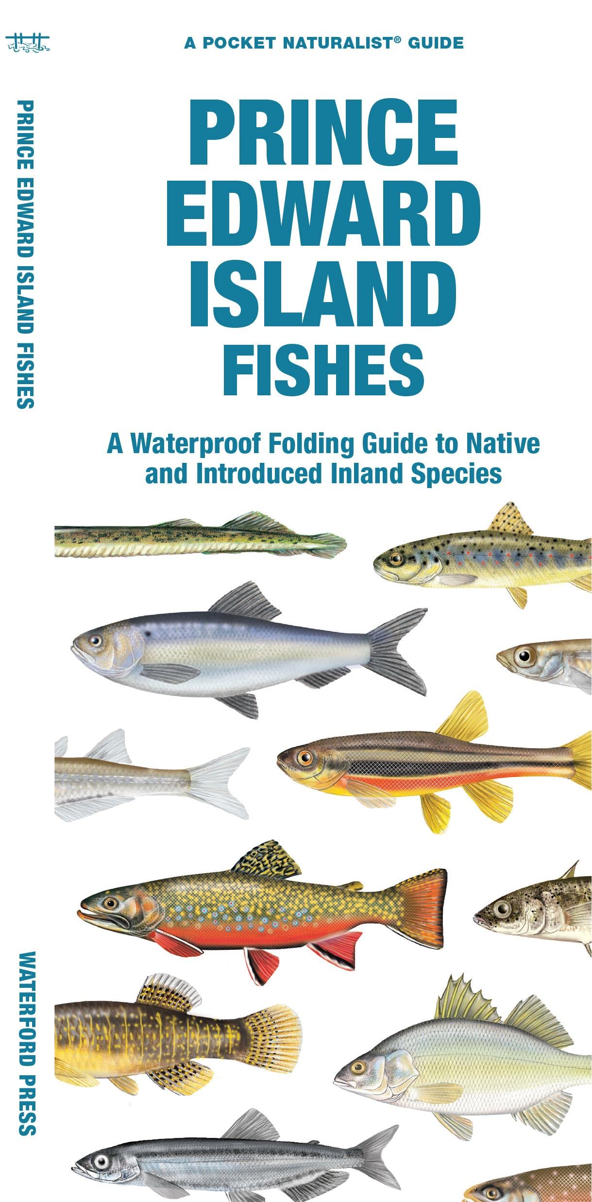 Prince Edward Island Fishes: A Waterproof Folding Guid