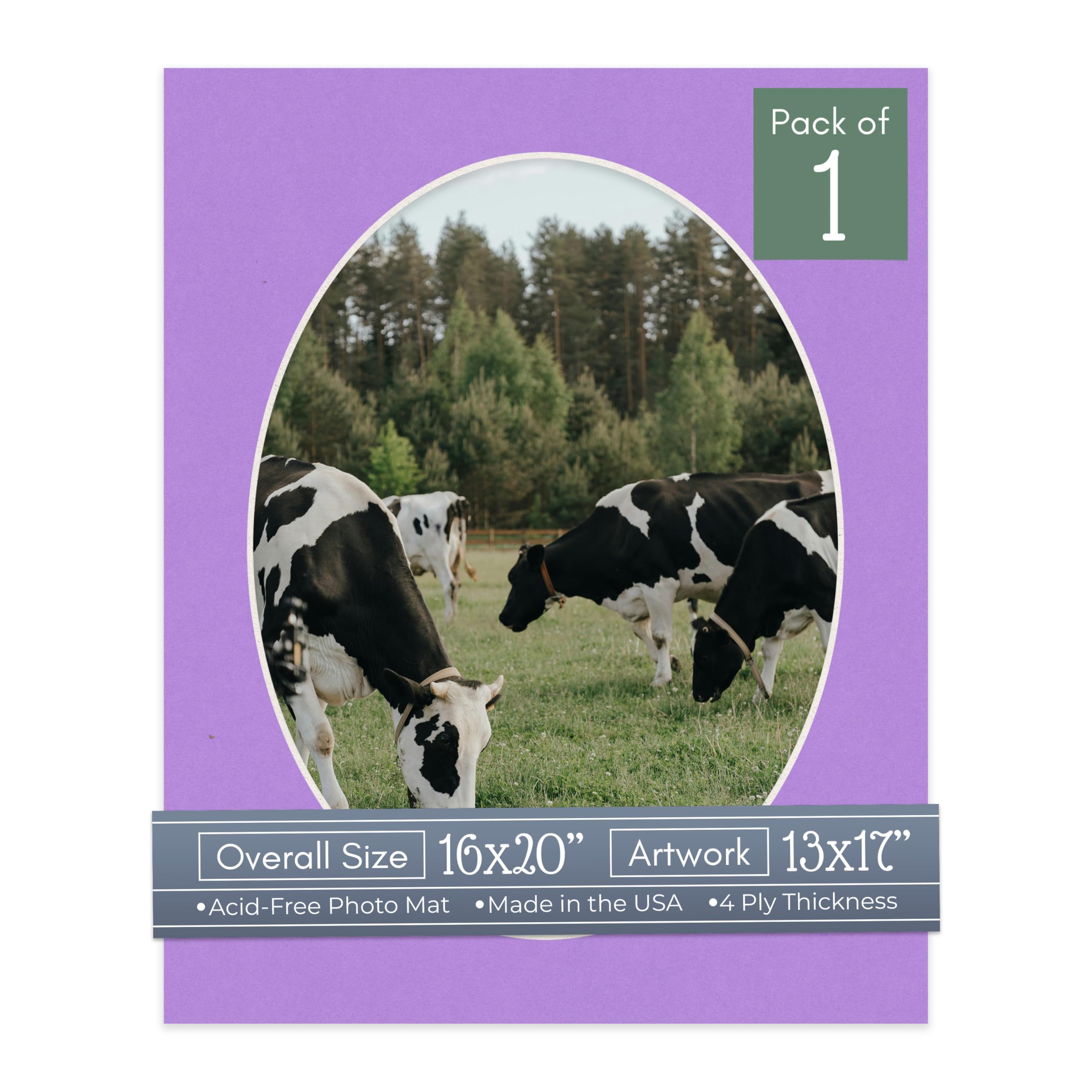CountryArtHouse Light Purple Acid Free 16x20 Oval Picture Frame Mat with White Core Bevel Cut for 13x17 Pictures - Fits 16x20 Frame - Pack of 1 Matboard Show Kit with Acid Free Backing & Clear Bag-image-43