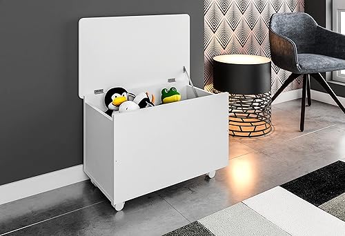 Miniatura 5 de G Squared Living - Cofre y baúl de almacenamiento Art in Moveis para mantas, bolas, zapatos, ropa - Caja de almacenamiento de entrada con tapa -