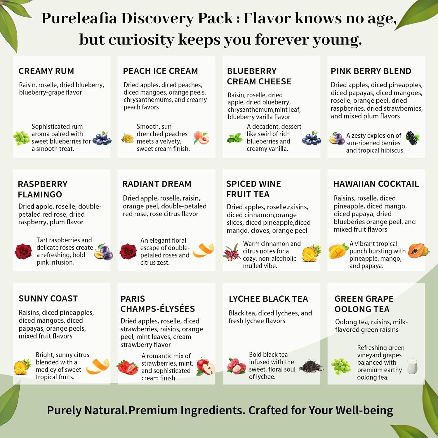 Pureleafia 12-Flavor Fruit Tea Sampler, 15g Pouches Brew 2L Each, Hot & Cold Brew Herbal Infusion, Mixed Caffeine & Caffeine-Free Blends, Low-Temp Dried Sugar-Free Tea for Family Party & Gifting (12 Count)