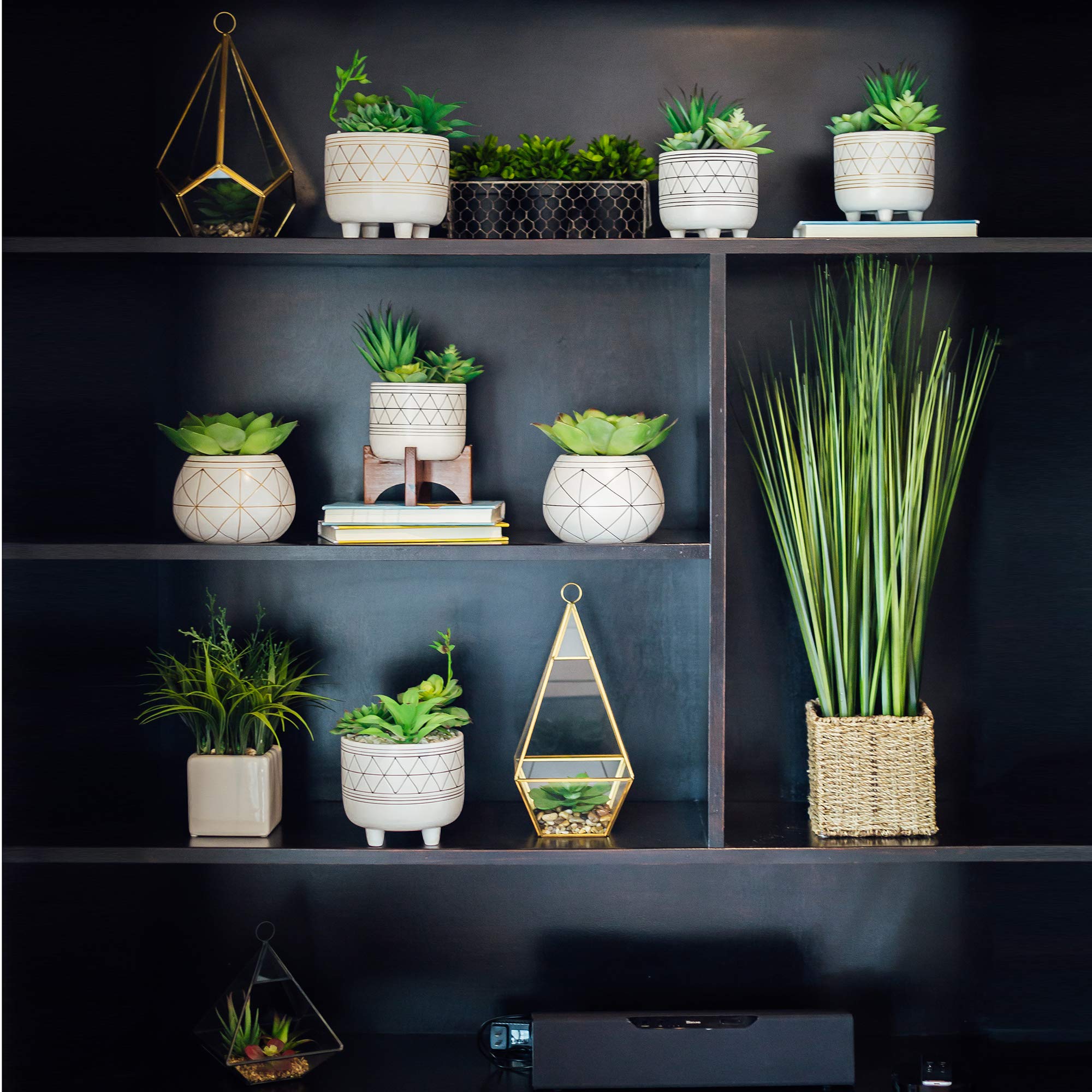 Amazon.co.jp: Flora Buna ミッドセンチュリー 5インチ