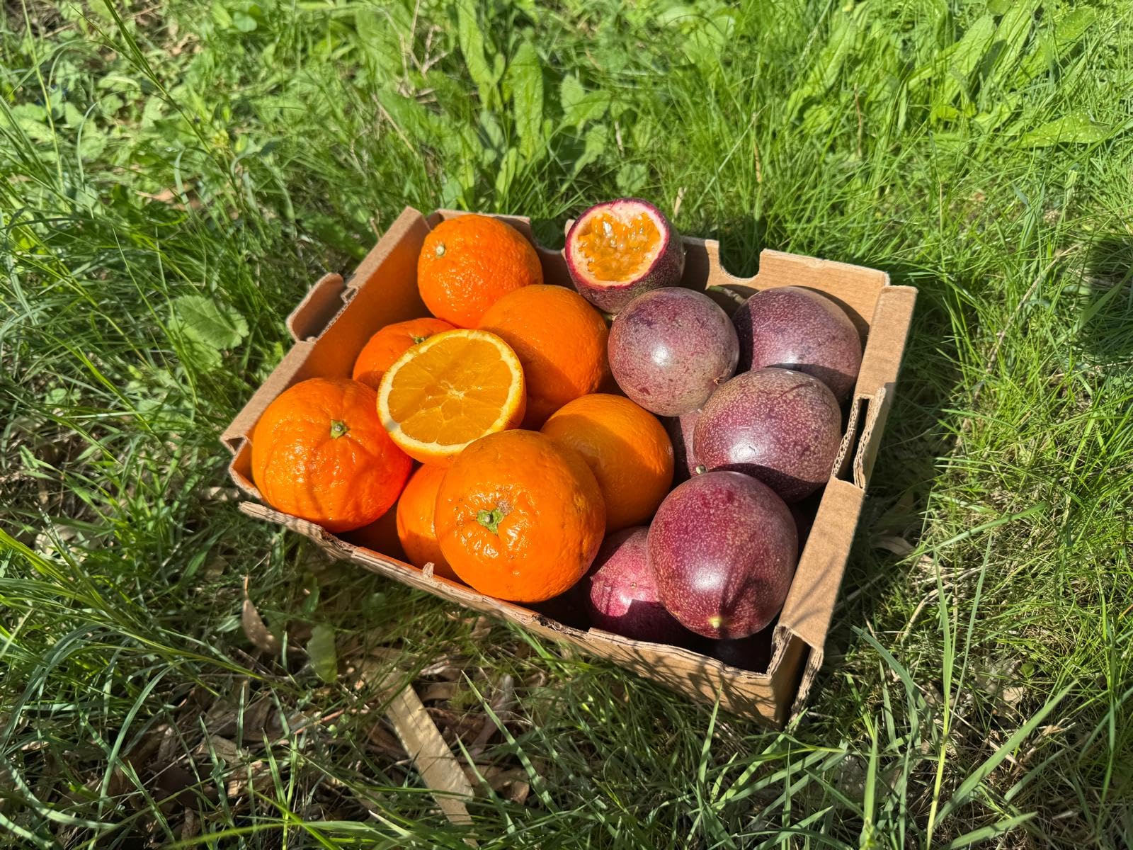 Vitalem – Caja de Naranjas Frescas 1,5 kg + Maracuyá 250 gr | Fruta de la Pasión | Fruta Fresca de Temporada | 100% Natural | Cultivo Local Málaga | Para Smothies, Batidos y Yogurt