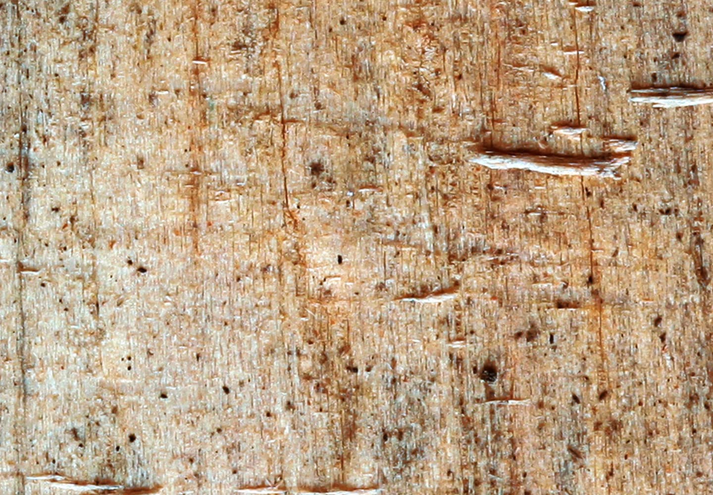 decomonkey Paravent décoratif intérieur Pierre Bois Abstrait 225x172 cm | Cloison de séparation imprimée sur Toile, Paravent en Bois, deux côtés, Beige Marron Blanc épicé Miel Arbres Texture Fond