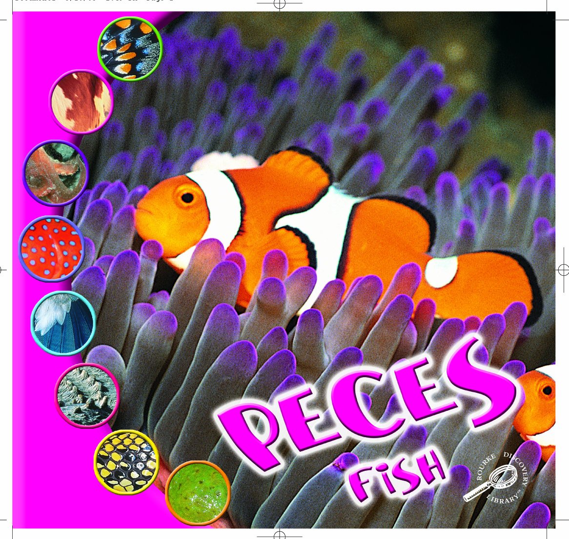 Buy Peces Fish (Que Es Un Animal? Biblioteca Del Descubrimiento/what Is an Animal? Discovery