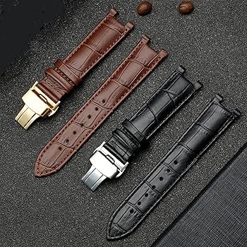 81WipOYteiL._AC_UF350,