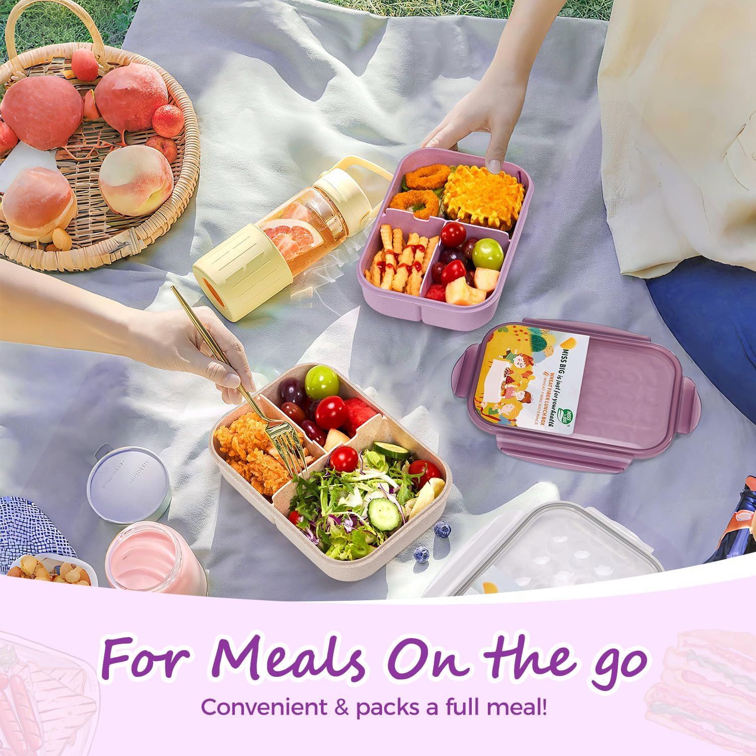 Miss Big Bento Lunch Box Kids