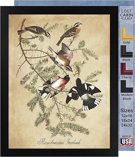 Vista 94 de Towee Bunting by James Audubon - Marco biselado negro de 12 x 16 pulgadas, decoración artística enmarcada para pared, reproducción de pinturas