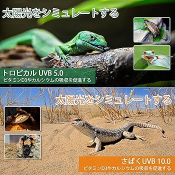Amazon | REPTI HOME UVB 爬虫類 ライト レプタイルUVB 10.0 9W