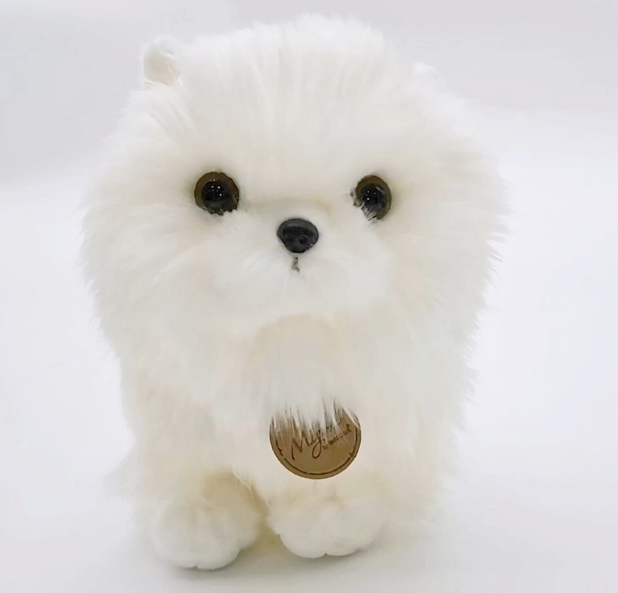 Amazon.co.jp: 犬 ポメラニアン ぬいぐるみ 子犬 リアル 超可愛い 犬