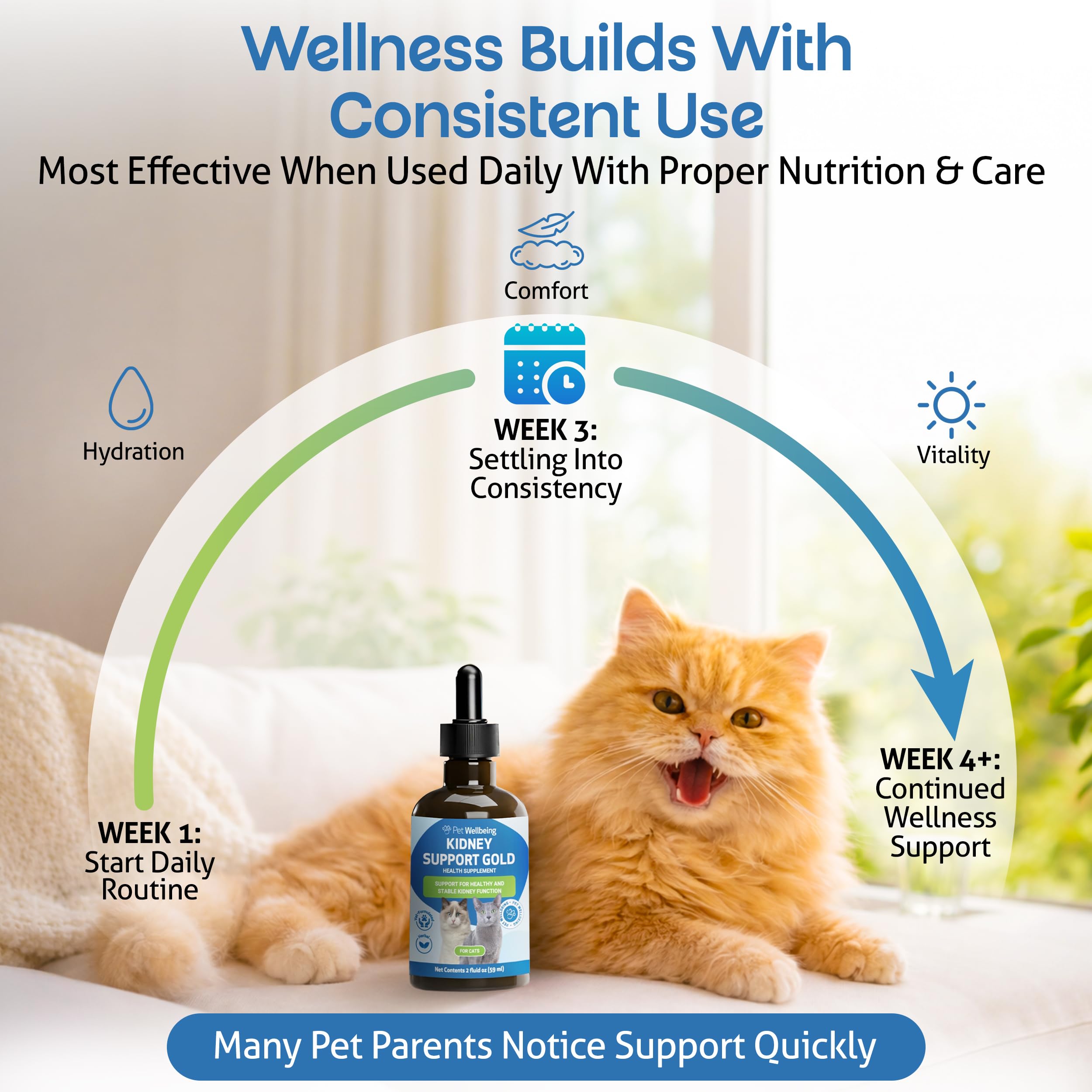 Pet Wellbeing - Supporto Oro Rene Per I Gatti - Il Supporto Naturale Per La Salute Dei Reni Felino - 2 Oz (59Ml)