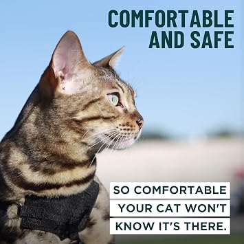 HoudiniTM Escape Proof Kitten Harness and Leash Set by OutdoorBengal Black, Small Cat Harness for Walking