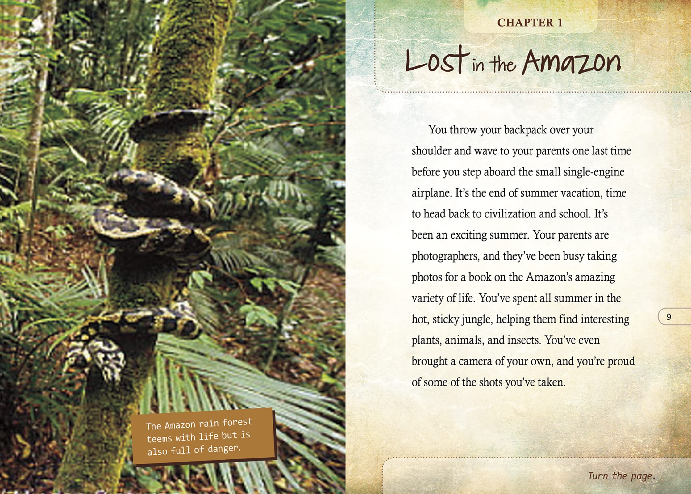 Can You Survive Boxed Set: Can You Survive an Earthquake? / Can You Survive Being Lost at Sea? / Can You Survive the Jungle? / Can You Survive the Wilderness?