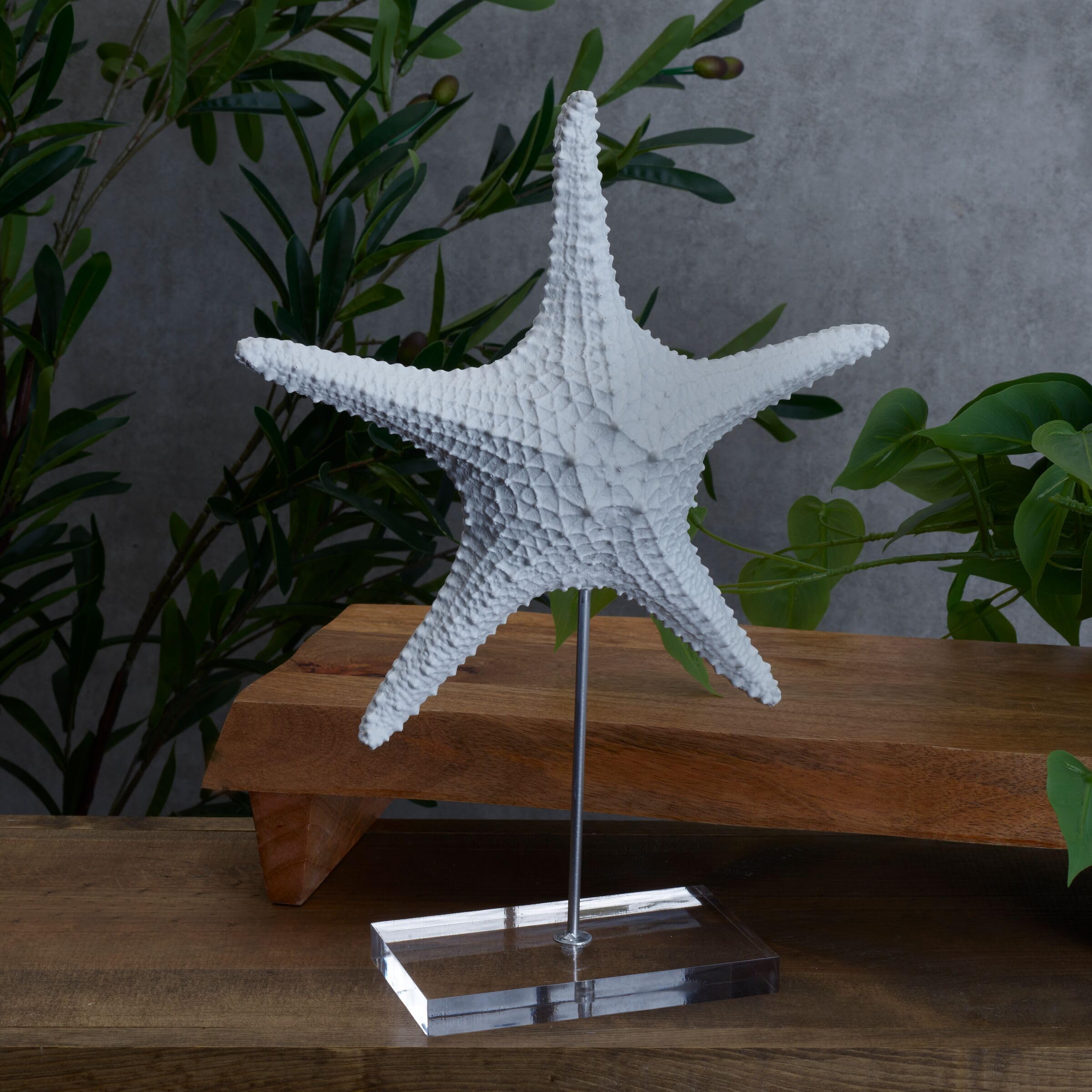 Amazon.com: Elements Decorative White Starfish Figurine on Stand