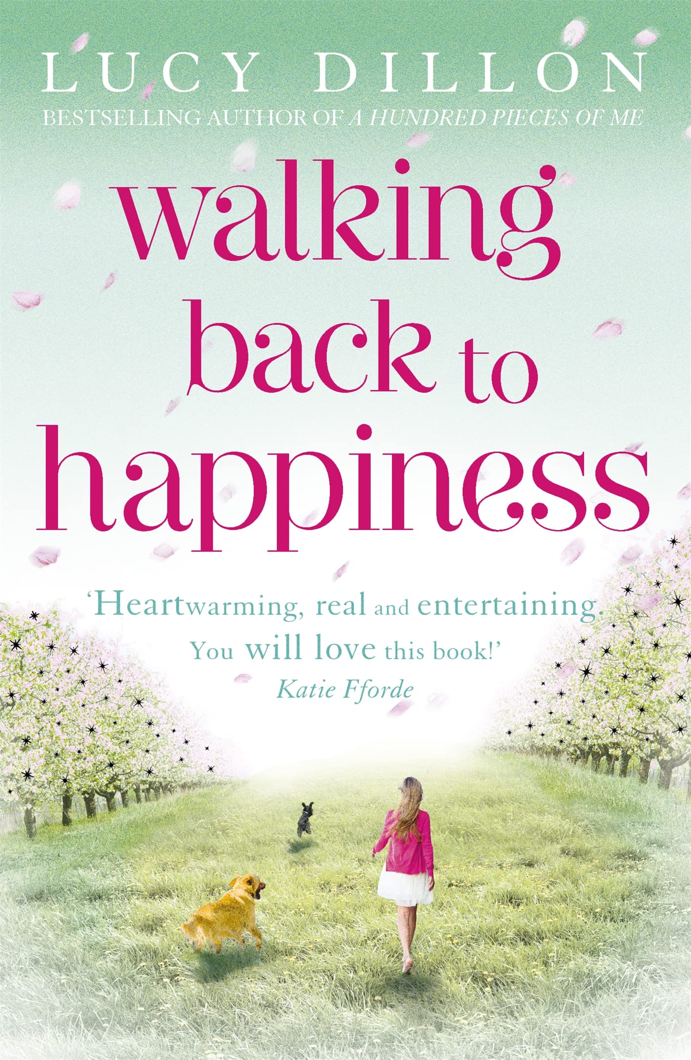 Walking Back To Happiness: Amazon.co.uk: Dillon, Lucy