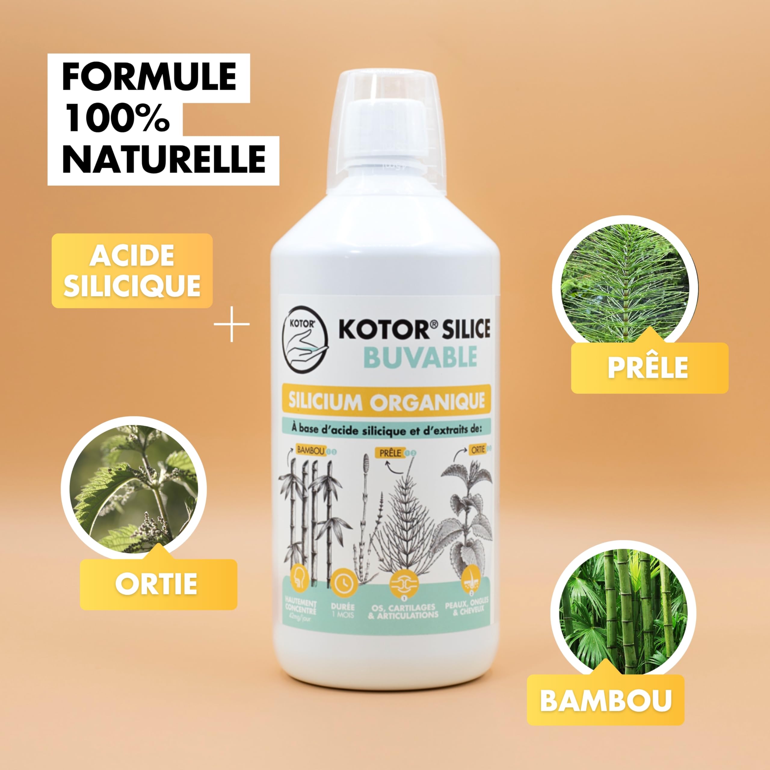 KOTOR SILICE BUVABLE 1L | Set di 3 | Silicio organico francese e naturale, salute delle articolazioni, cartilagine, ossa, pelle, capelli, unghie | silicio + ortica + equiseto + bambù | 3 mesi