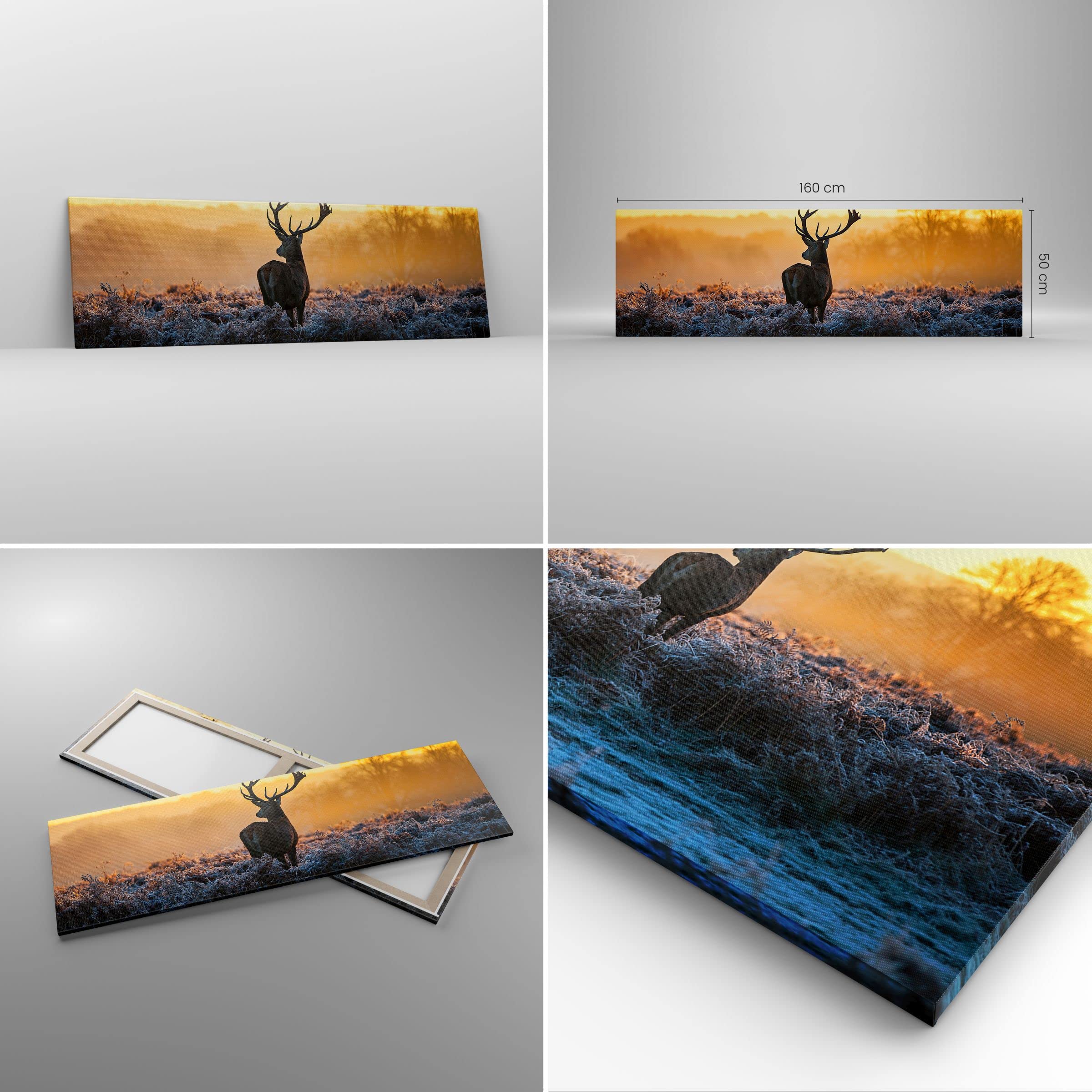 Lienzos decorativos 160x50cm Cuadro Sobre Lienzo Moderno Campo niebla la naturaleza el árbol Grande XXL Dormitorio Cuadros Pared Imágenes Cuadros Decoracion Salon Wall Art Prints Decor AB160x50-2428