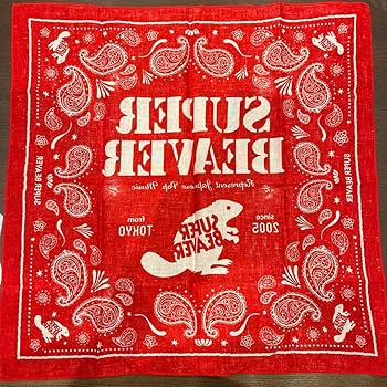 ★お盆だけ★価格 値下げします!!SUPER BEAVER アルバムセット ☆お盆だけ☆価格 値下げします!!SUPER BEAVER アルバムセット