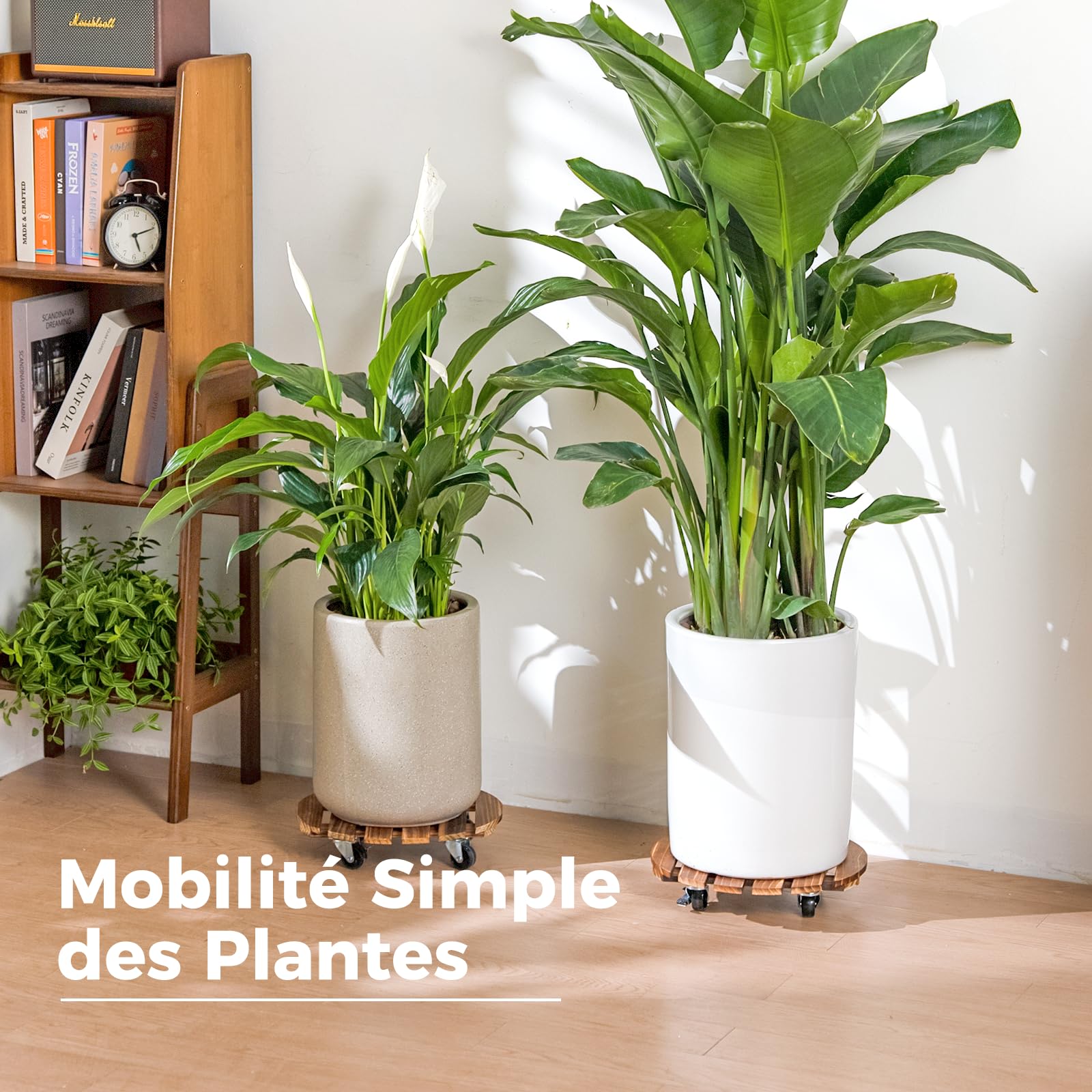 Bamworld Porte Plante à Roulettes, Lot de 2 Plateaux Roulants 30,5 cm, Capacité 100 KG, Marron Foncé