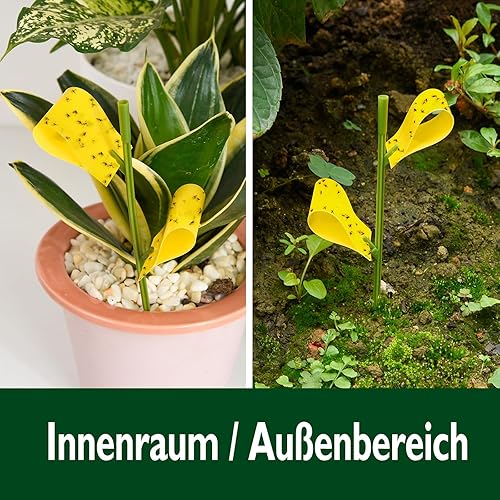 Miniatura 10 de Trampa para moscas (12 unidades), en forma de frutas, color amarillo, para interiores y exteriores, moscas blancas, mosquitos, hongos, insectos