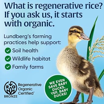 Lundberg Rice Cakes - Organic Whole Grain Wild Rice & Brown Rice Cakes, Lightly Salted, Healthy Snacks for Adults and Kids, Gluten-Free Snacks, Organic Snacks, Vegan, 8.5 Oz