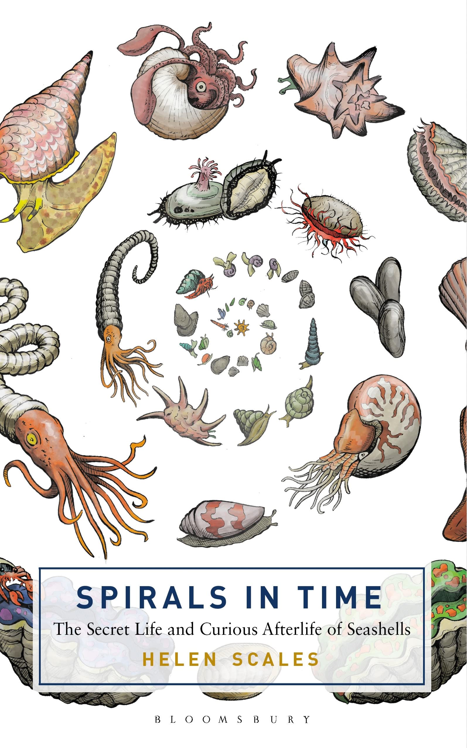 Buy Spirals in Time: The Secret Life And Curious Afterlife Of Seashells — BookShops.in