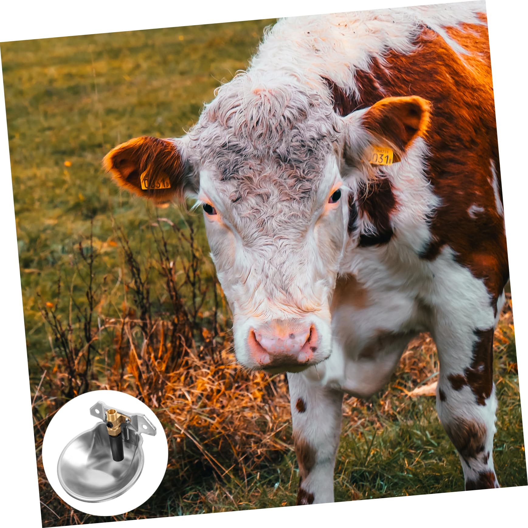 ibasenice Abbeveratoio Automatico per Animali in Acciaio Inossidabile Grande Capacità e Superficie Liscia per Uso in Fattoria e Stalla Bordo Arrotondato