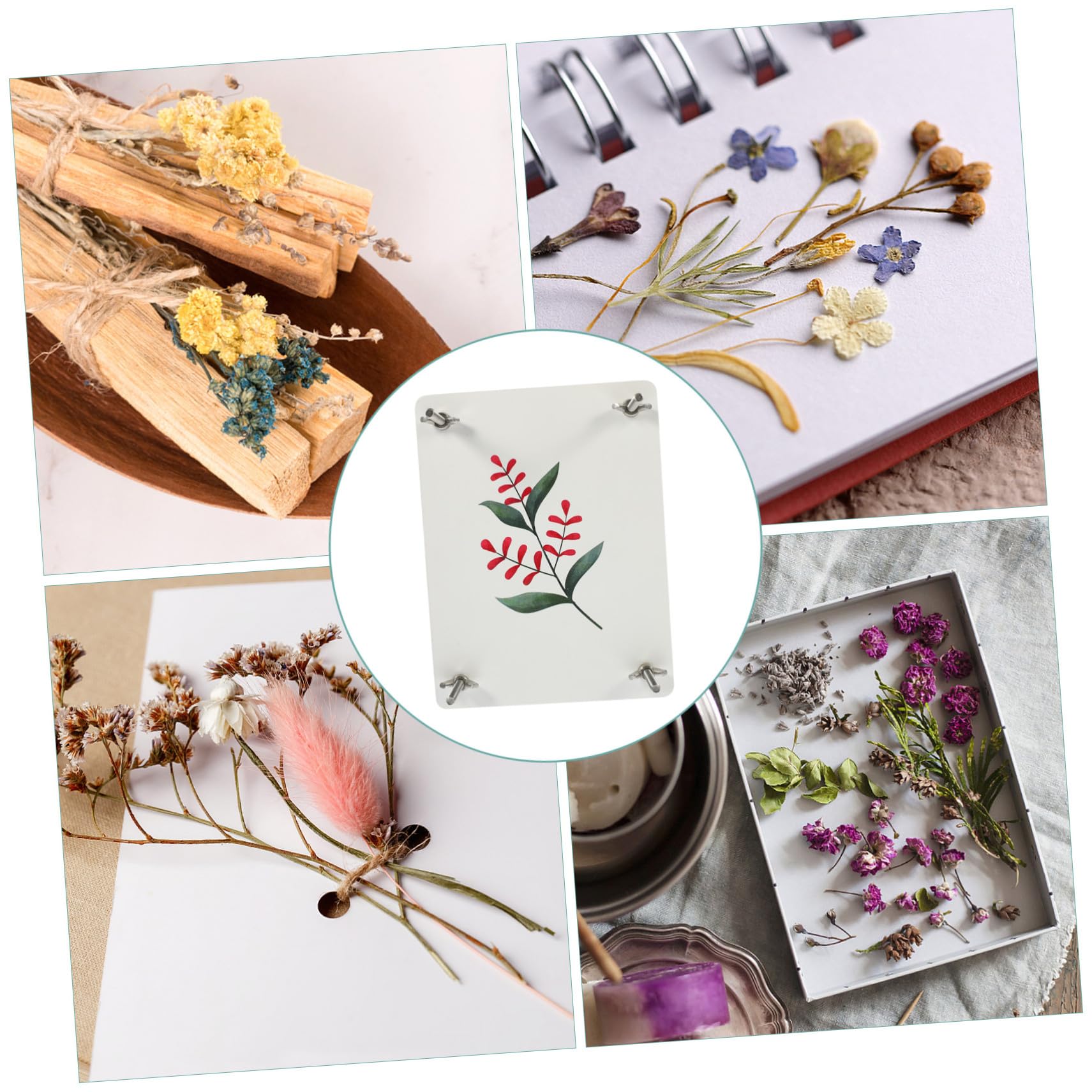 Parliky Blumenpressset für Blumen und Früchte Selbstgemacht Kreativset zum Pflanzenpressen für Scrapbooking und Kerzenherstellung Presswerkzeug für Pflanzen