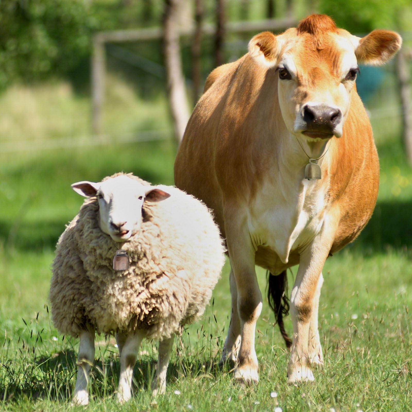 Campane Di Rame Per Animali - Repellente Orsi, Per Bovini, Pecore, Cavalli, Decorazione Campeggio E Fattoria