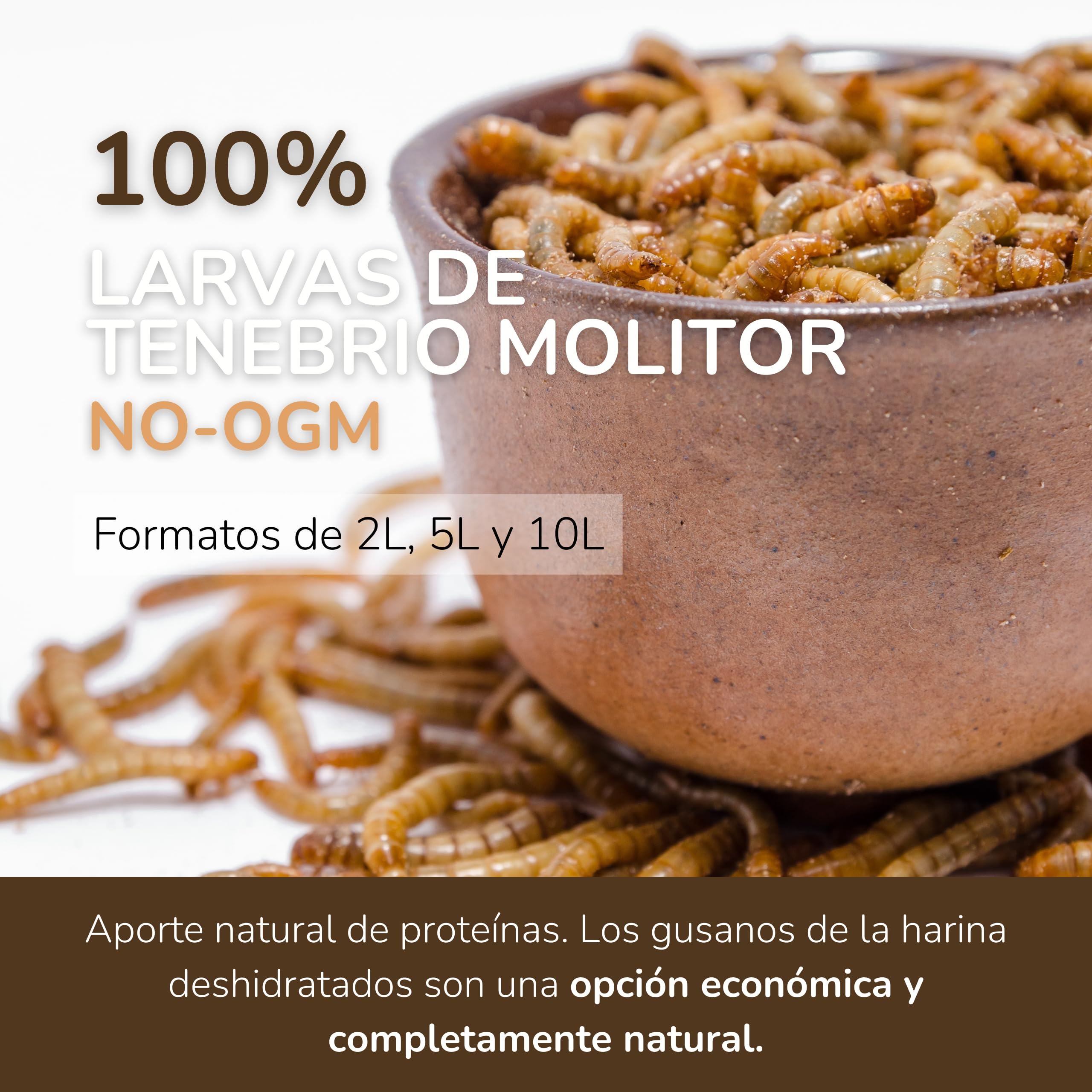 Dehydrierte Mehlwürmer, 10 l, Dehydriert – Würmer für Vögel, Reptilien und Nagetiere – Futter für Schildkröten und alle Arten von Tieren – Insekten für Hühner + 50 % Protein
