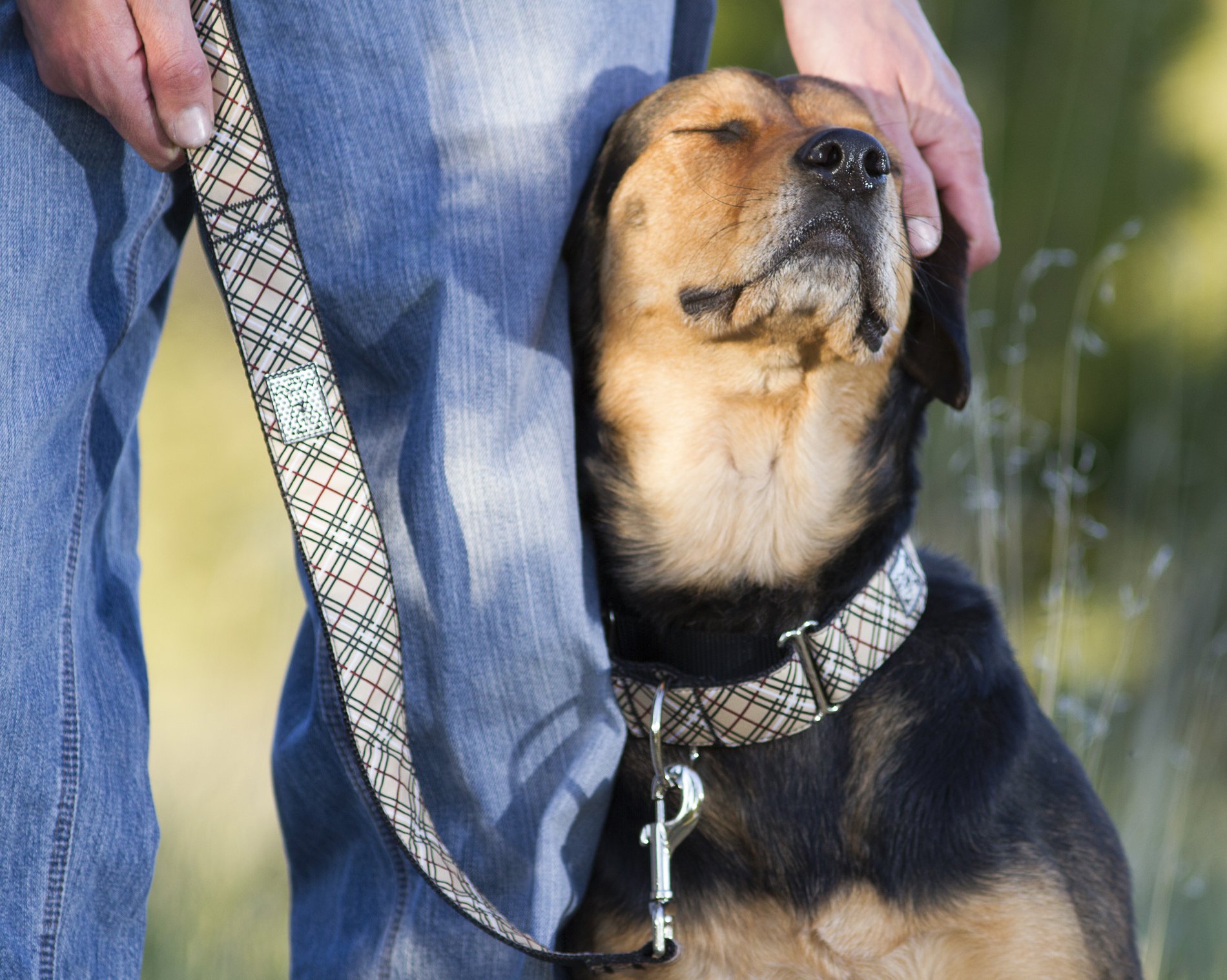 LumoLeaf atelieryuwa.ciao.jp