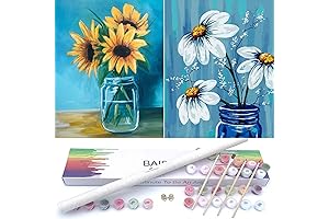 BAISITE Paint by Numbers Kit for Adults Beginners, 12"Wx16"L, 2 Pack Canvas...