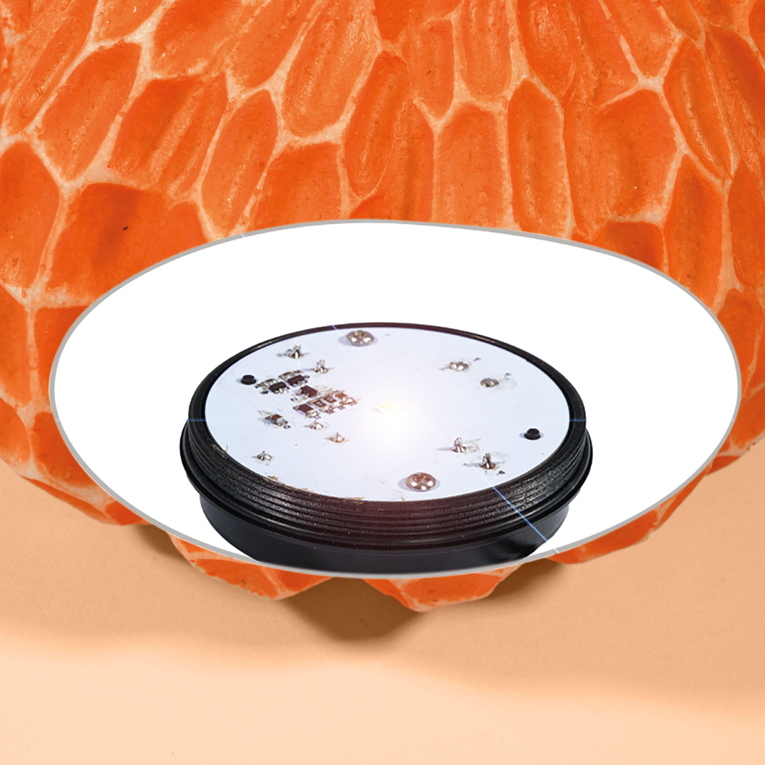 Esotec Solar Kürbis Deko Gartendeko Herbstdeko LED Gartenfigur außen 102683