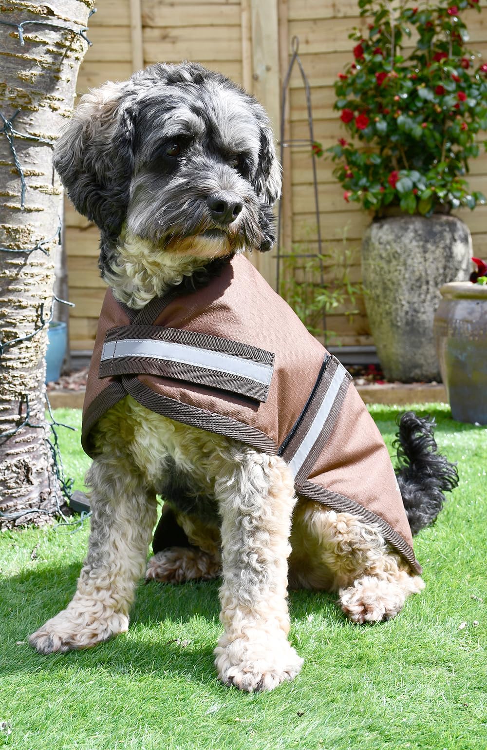 Rhinegold Waterproof Dog Coat-22(55cm)-Brown