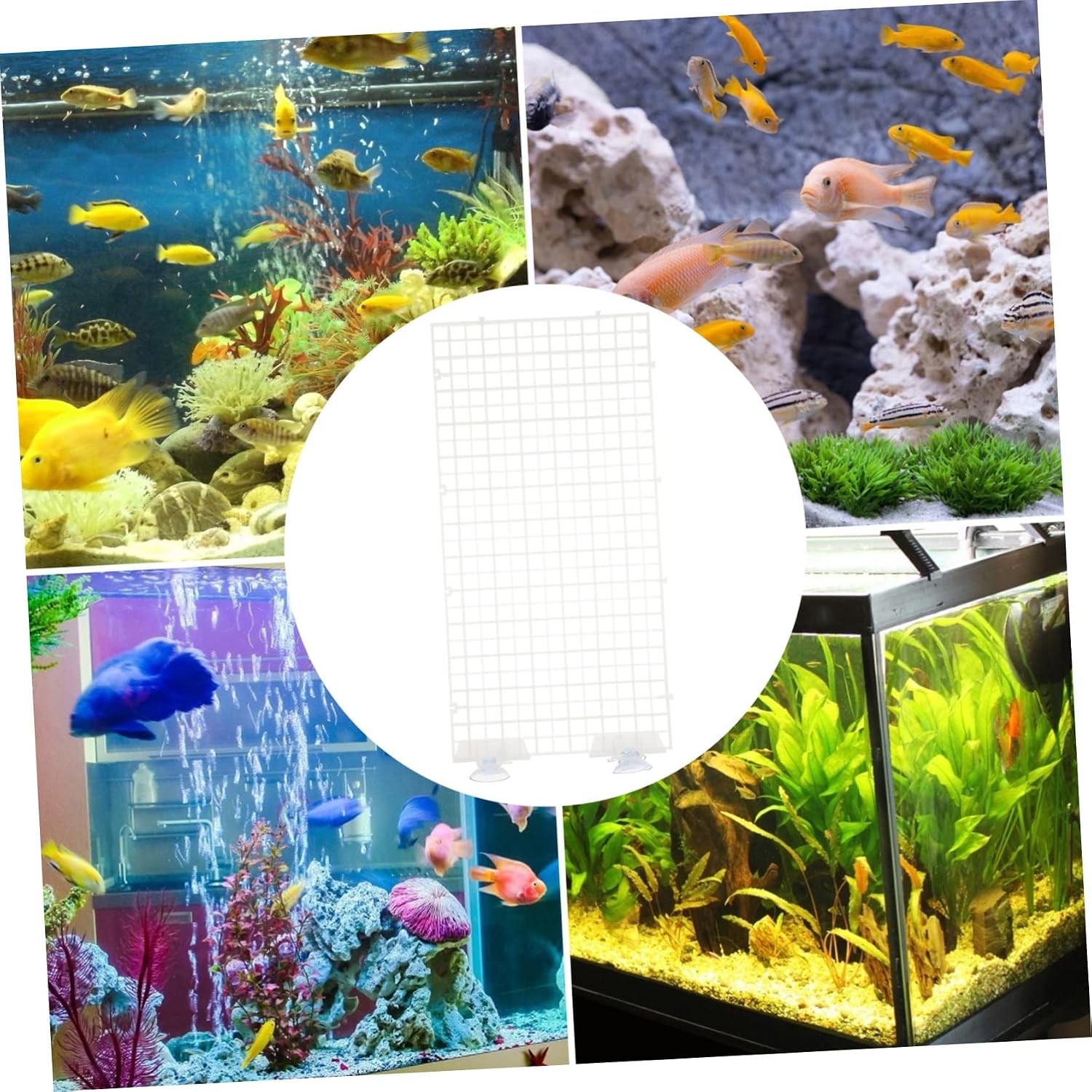 BESPORTBLE Aquarium Isolation Panel Lattice Betta Fish Tank Divider Suction Cup Spliced Lattice Fish Tank Supplies Random Color